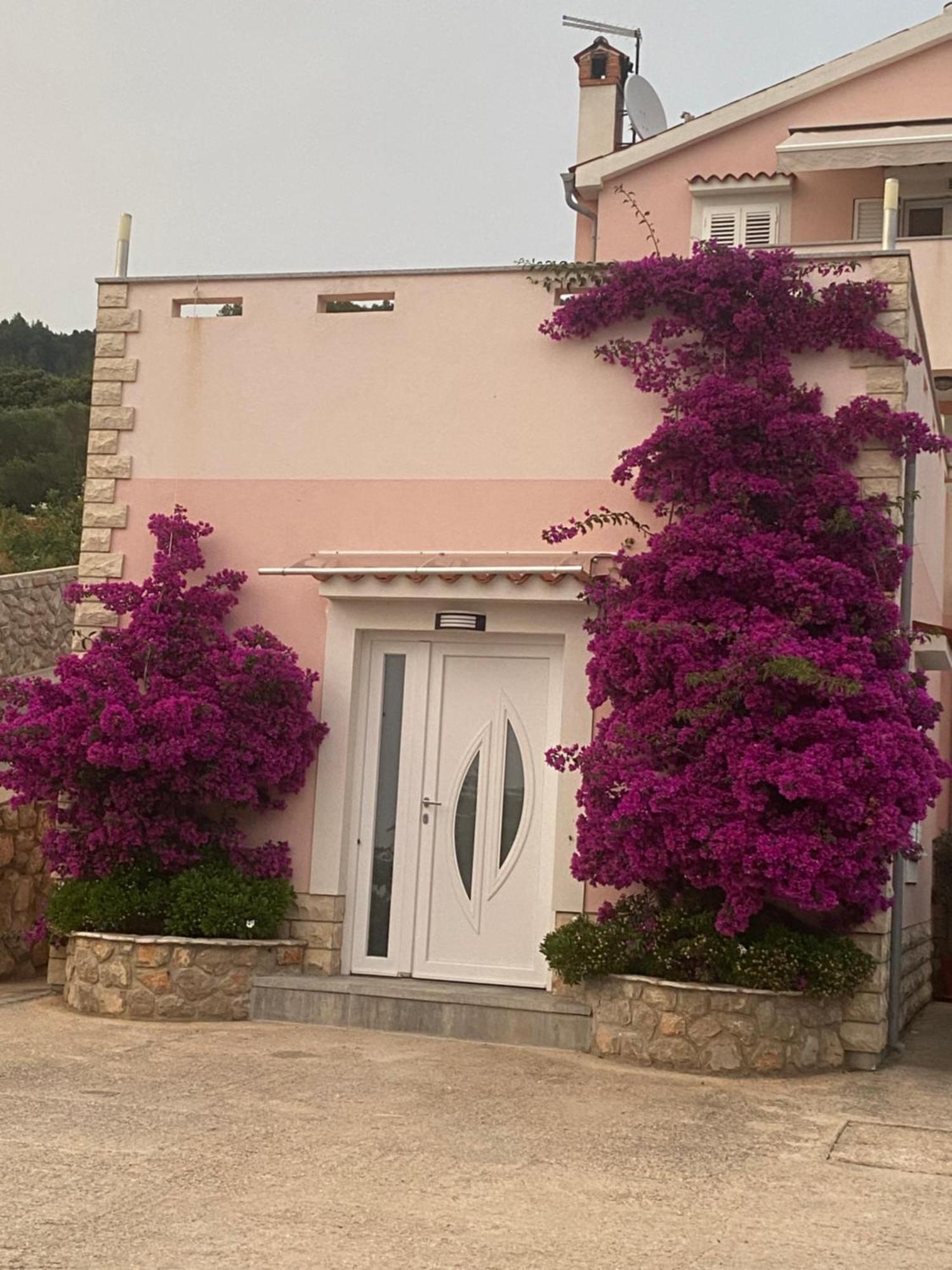 Apartment Apartmani Ivana Cres